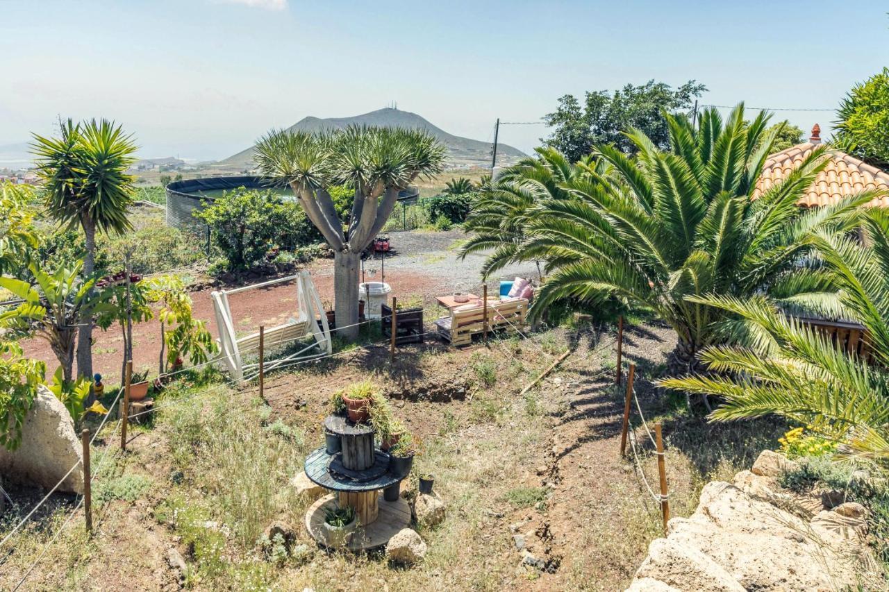 Appartement Apartamento B Armonia Rural à Granadilla De Abona Extérieur photo