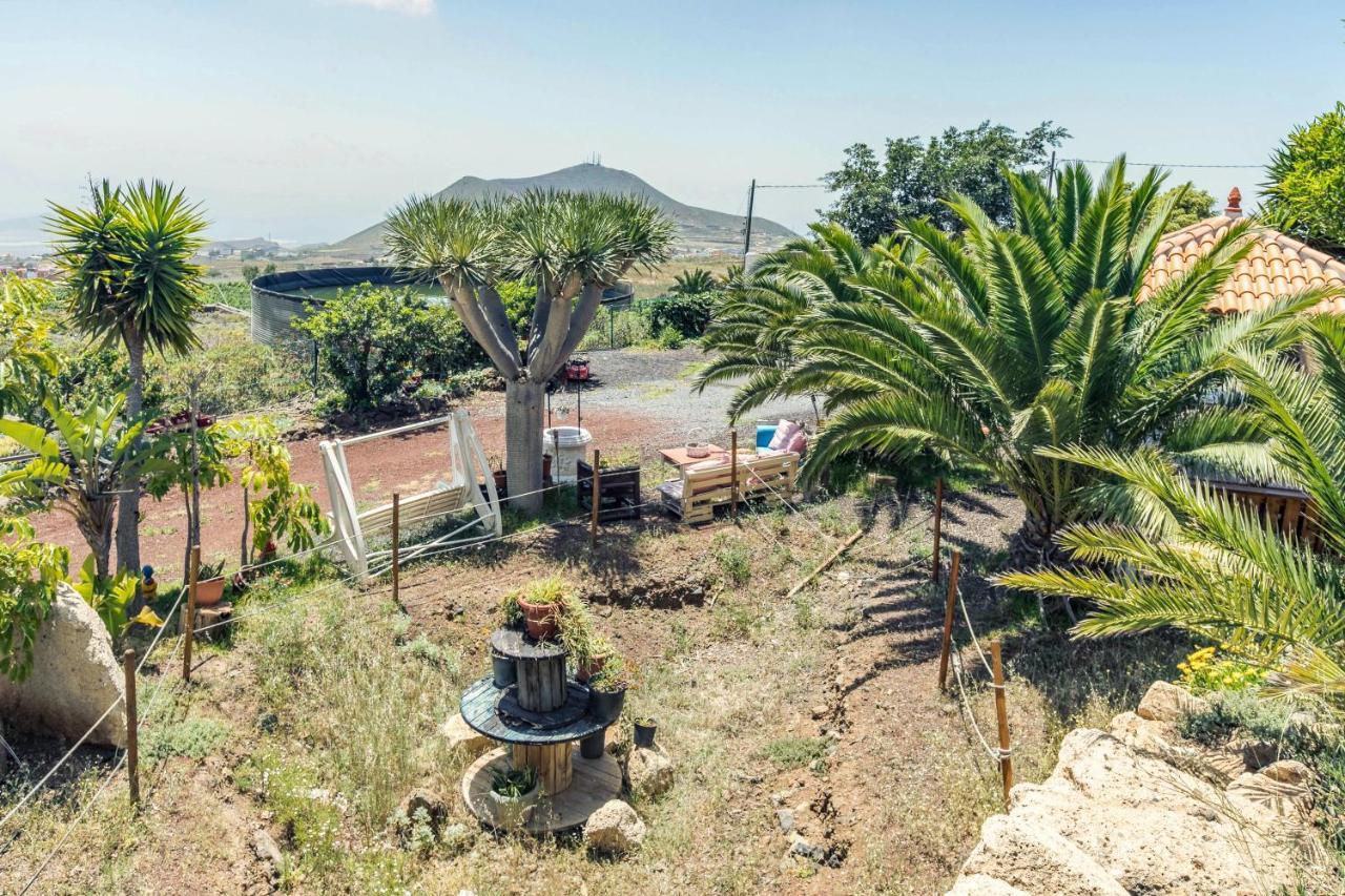 Apartamento B Armonia Rural Granadilla De Abona Extérieur photo